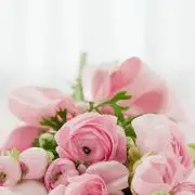 さくら♡プロフ必読お願いしますの画像