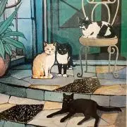 Catsの画像