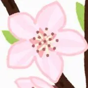ちぇりー
