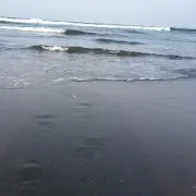 欄の画像