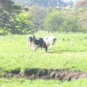 町民の画像