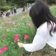 hanaの画像