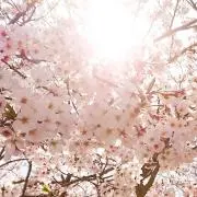 焔★プロフ改定 確認お願い致しますの画像