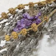 MUの画像