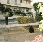 1997の画像