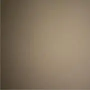 ニナ