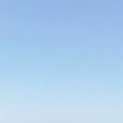 たれぱんだの画像
