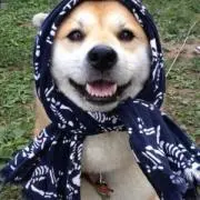 くろ