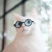 トッシーの画像