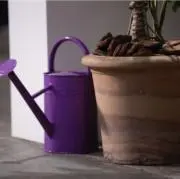 tの画像