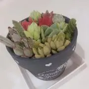 でこしゃん