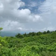 即購入優先の画像