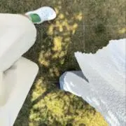 S.の画像