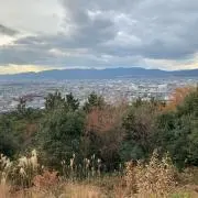 Kohの画像