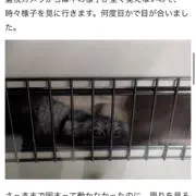 なん