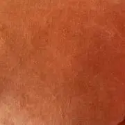 bonの画像