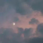 ころ※※プロフィール要確認※※の画像