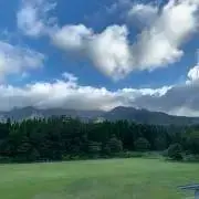 ネーヤンその2の画像