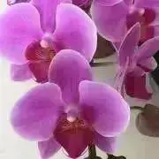 ♡LOVE&PEACE♡^ - ^♡必読の画像