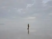ピノコの画像