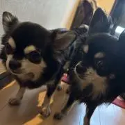 yumikiの画像
