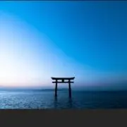 pipoの画像