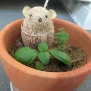 あさ