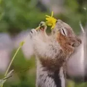 とと☆の画像