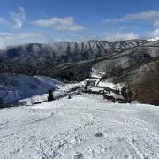ヤマトの画像