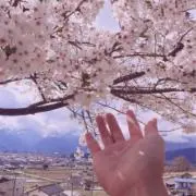 清民国 粉彩鶴牡丹図蓋茶壺 乾隆年製 中国税関封蝋有り - メルカリ
