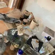 サクラの画像