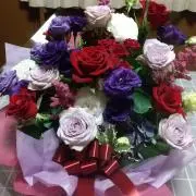 蜜柑の画像