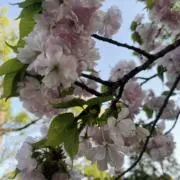 hrmi@タイムセール随時実施☀︎の画像