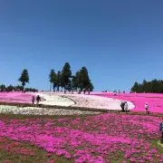 nicoの画像