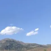 ギリ純粋
