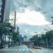 sacoの画像
