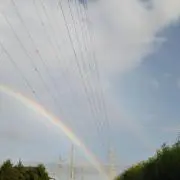 花・はなの画像