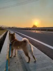 あこ＊即購入大歓迎＊の画像