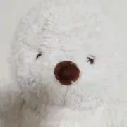 E Sの画像