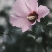ycrkプロフ必読の画像