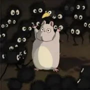 かにちゃんの画像