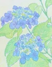 丸子の画像