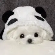 龍角散の画像
