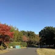 れの画像
