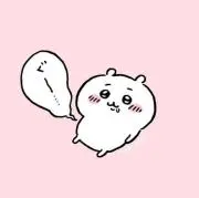 さ　プロフ必読