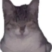 ohayooの画像