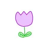 はまだ❀断捨離中の画像