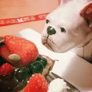 konpeitouの画像