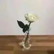 ainappの画像