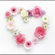 ❤️A❤️ ★プロフ必読です★の画像